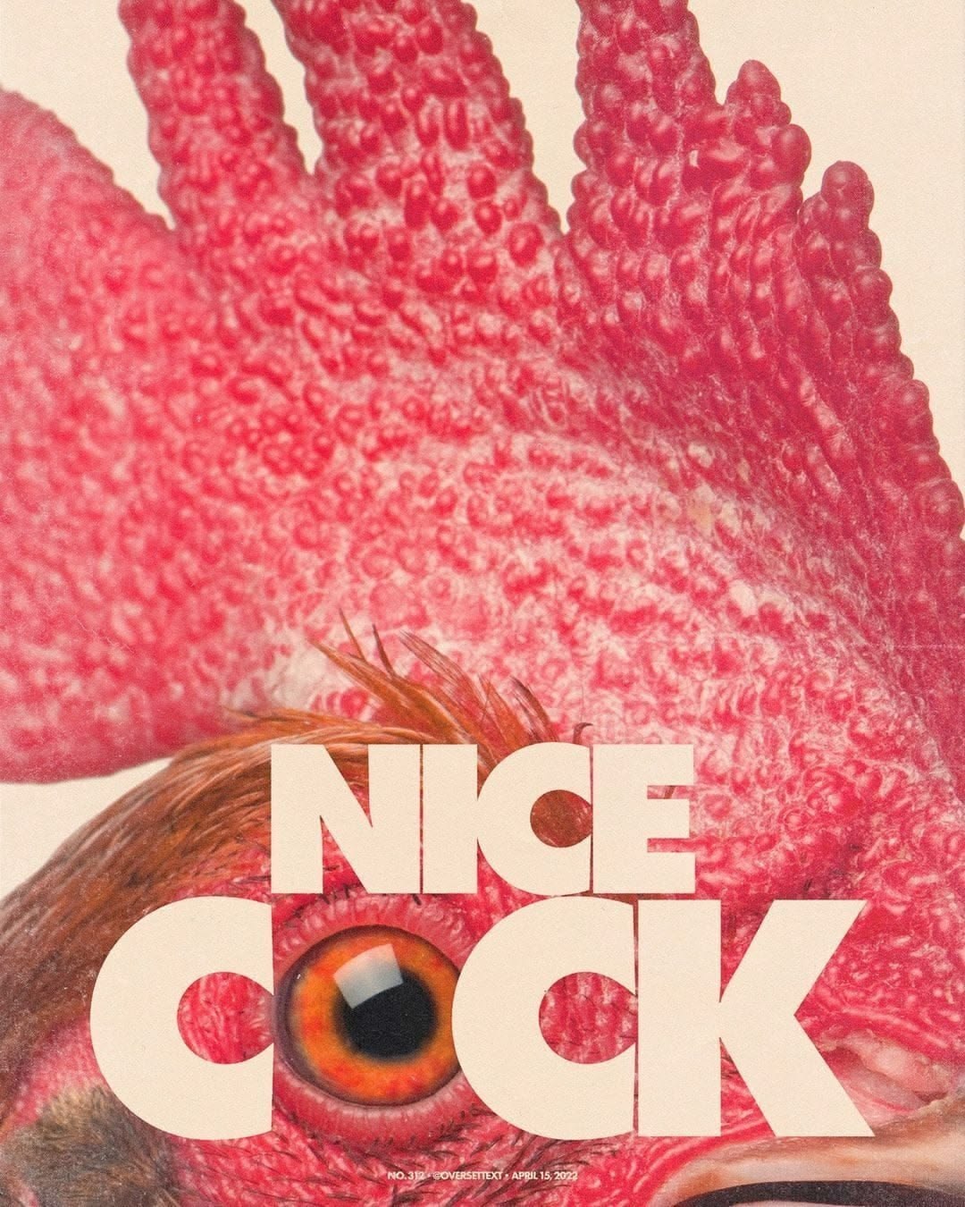 Nice Cock Magazine Cover