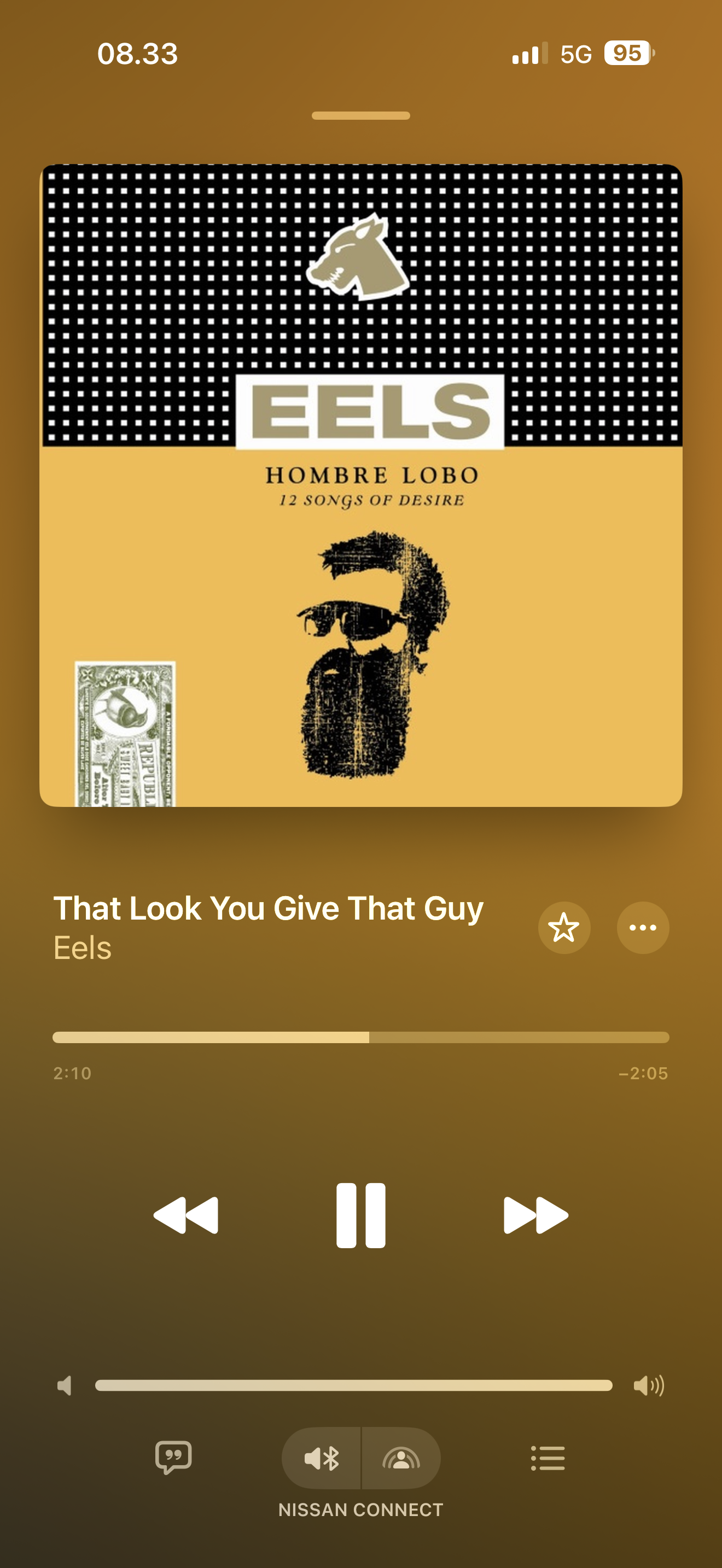 Music Player Screen