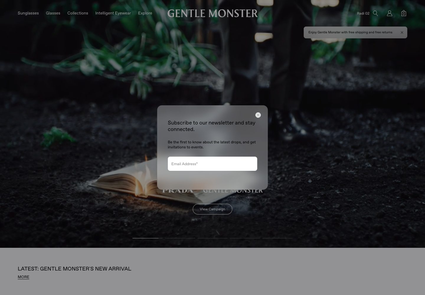 Gentle Monster Store