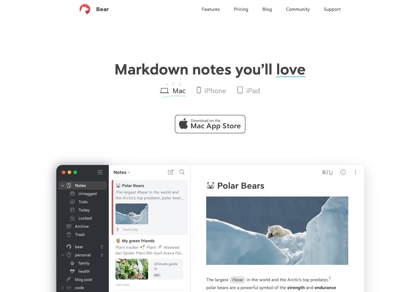 Bear Homepage