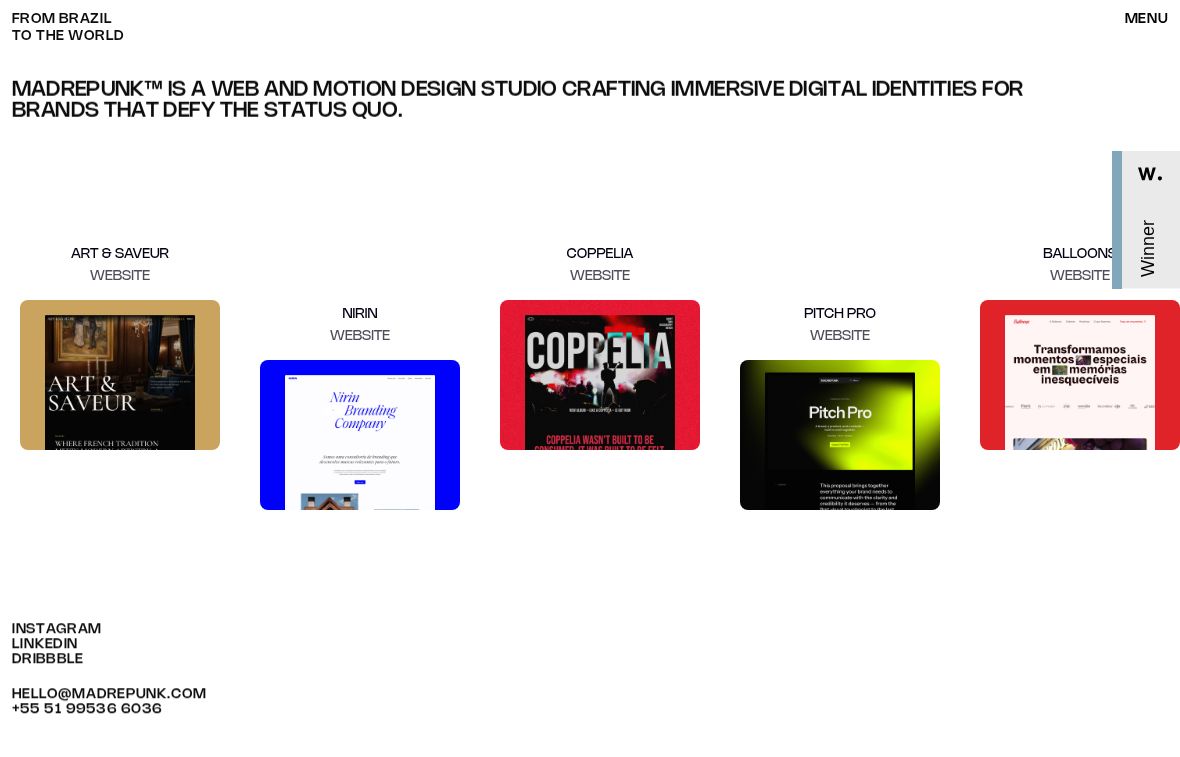 Madrepunk Portfolio Showcase